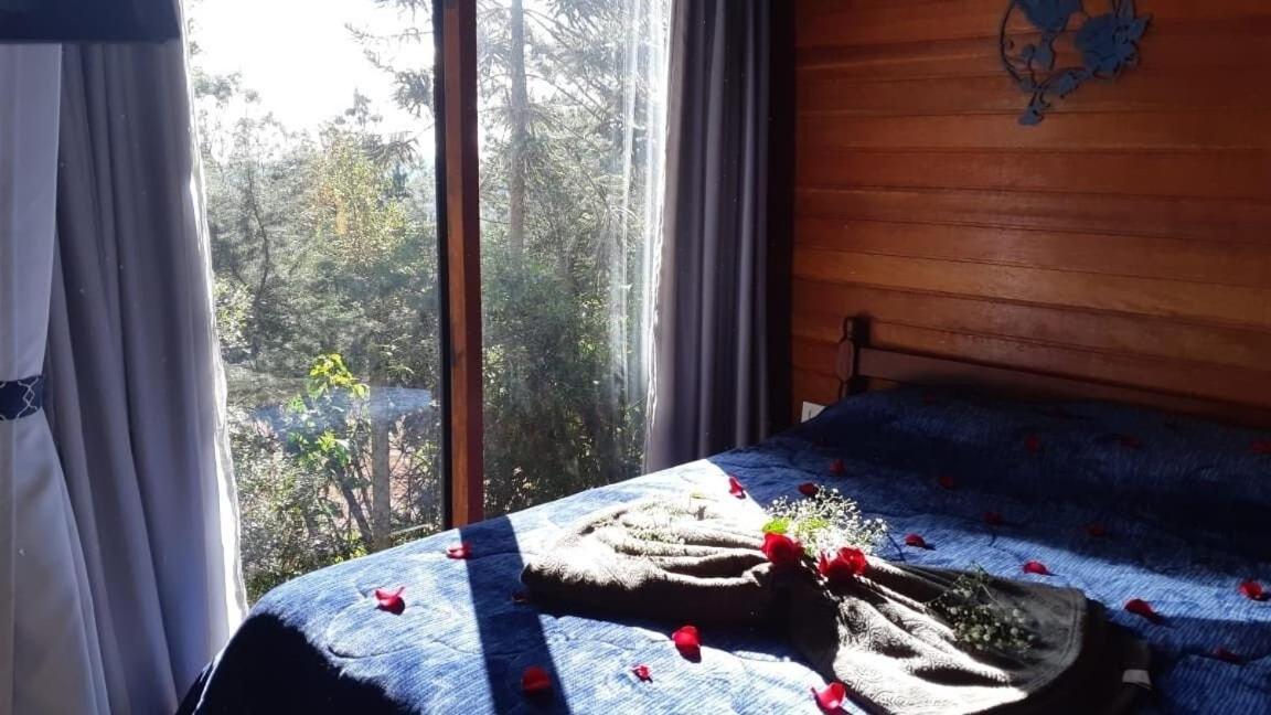 Chale Beija-flor - Ninho Aves Apartamento *