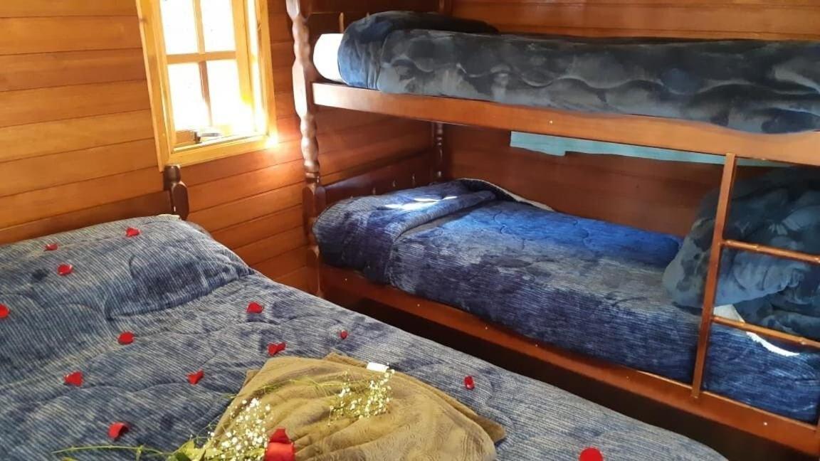 Apartamento Chale Beija-flor - Ninho Aves *